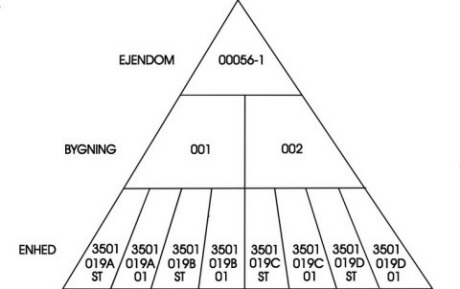 The BBR hierachical structure