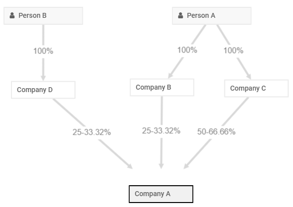 Ultimate Ownership of a company